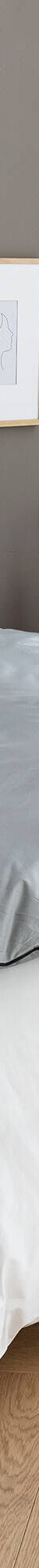 Edredon naturel duvet et plumettes (gris) Edredon naturel duvet et plumettes (gris)